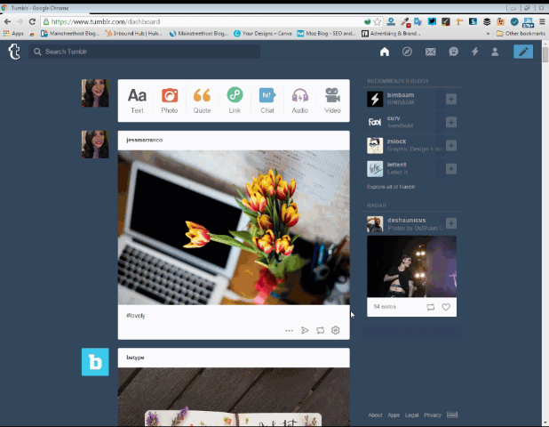 Tumblr avatar and header photos 