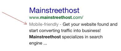 Mainstreethost Google Result