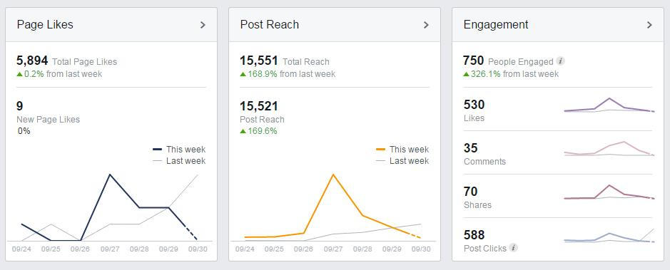 Facebook Insights Overview