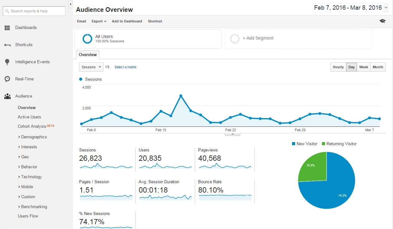 Google Analytics Audience Overview