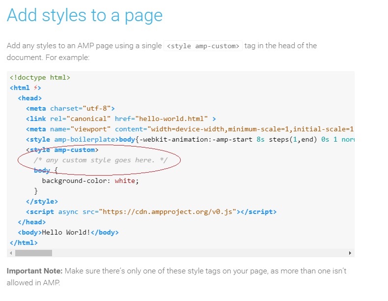 Google Amp Add Styles